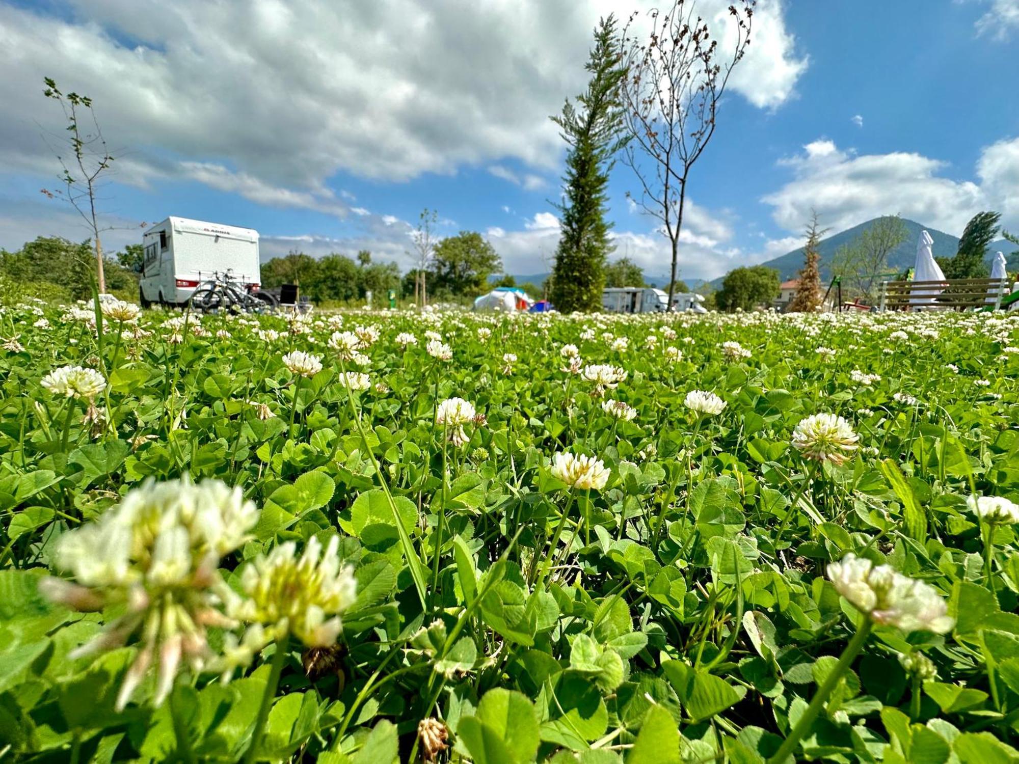 7 Lakes Camping Sapareva Banya Dış mekan fotoğraf